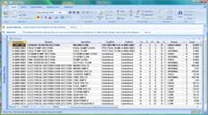 Database Export to MS Access. Click to enlarge.