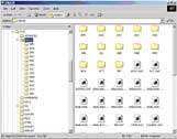Automated Backup